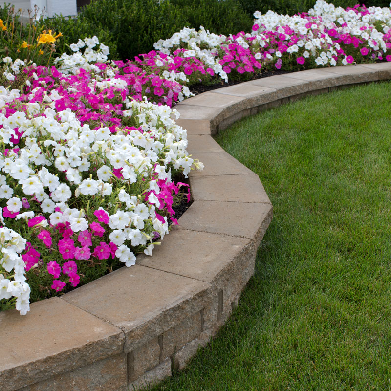 retaining wall block and flowers